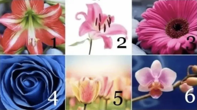 Który kwiat wybierzesz? Jego kształt zdradzi, co cię czeka w przyszłości